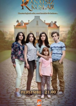 Птицы без крыльев на русском языке