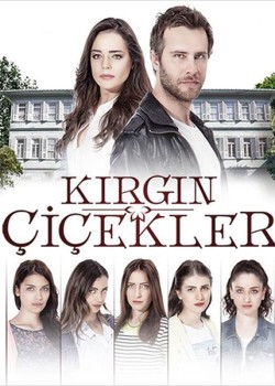  Обиженные цветы 