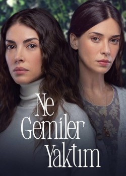  Какие корабли я сжег  на русском языке